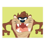 Taz posant 14 cartes postales