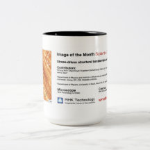 Technologie RHK - de Mok van de Koffie IOM van Sep