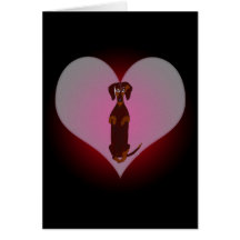 Teckel Sidney ma carte de coeur