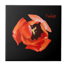 Tegel, Geheimen van de Rode Tulp Geboortetegeltje