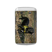 Tekkel Blackberry cover2