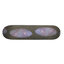 Tellin de lever de soleil (radiata de Tellina) She Skateboards Cutomisables