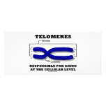 Télomères responsables du vieillissement au niveau carte double en  couleur