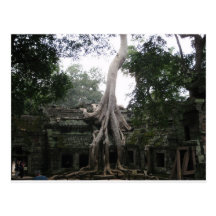Temple cambodgien dans la jungle cartes postales