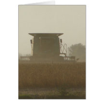 Temps de moisson cartes de vœux