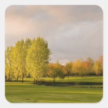 Terrain de golf dans l'autocollant d'automne