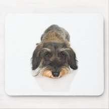 Terrier Tapis De Souris