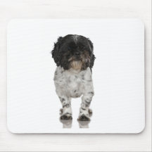 Terrier Tapis De Souris