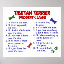 TERRIER TIBÉTAIN PL2 POSTERS