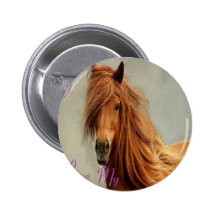 TETE CHEVAL.png Pin's