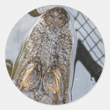 Tête d'alligator autocollant rond