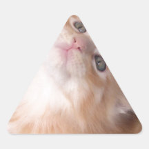 tete de chat1.png autocollant