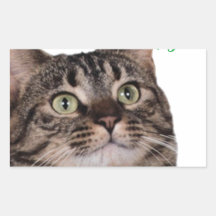tete de chat.png sticker rectangulaire