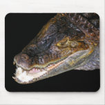 Tête de crocodile/alligator, dos noir tapis de souris