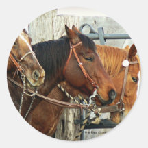 Têtes de cheval mises un frein adhésifs