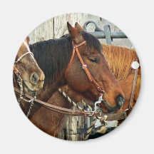 Têtes de cheval mises un frein magnets