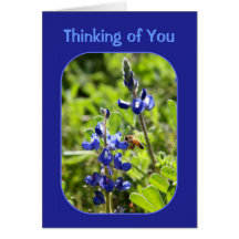 Texas Bluebonnets Thinking of You Card