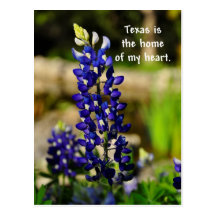 Texas is het Huis van mijn Hart Bluebonnet Poastca Wens Kaart
