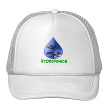 Texte de vert d'usine de bambou noir de culture hy casquettes