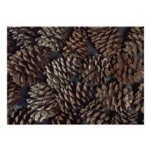 Texture de cônes de pin invitations
