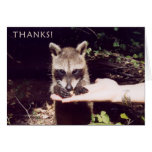 Thank-you kaart