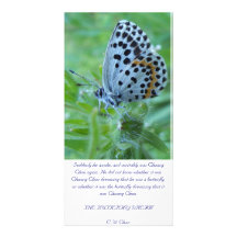 The butterfly dream card photocarte customisée