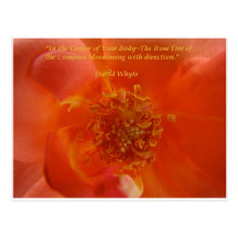 The rose fire postcard cartes postales