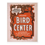 Théâtre central d'oiseau rétro cartes postales