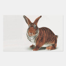 tigre de lapin sticker rectangulaire