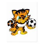 Tigre du football cartes postales