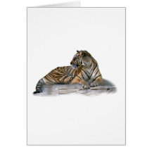 Tigre, reposant cartes de vœux