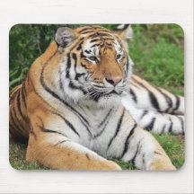 Tigre Tapis De Souris