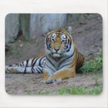 Tigre Tapis De Souris