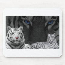 Tigres blancs tapis de souris