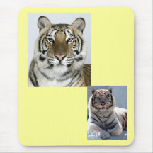 tigres tapis de souris