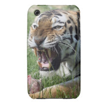 tijger iPhone 3 Case-Mate hoesjes