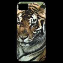 Tijger in Rust casemate hoesje