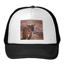 Tijger op een lood petten met netje