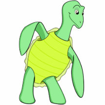 Toby Turtle Foto Uitsnede