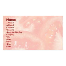 Tomate Cartes De Visite Personnelles