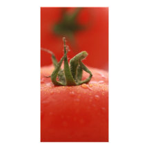 Tomate Photocard Photocarte Personnalisée