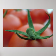tomaten afdruk