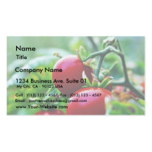 Tomates cerise cartes de visite personnelles