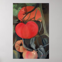 Tomates sur la vigne affiche