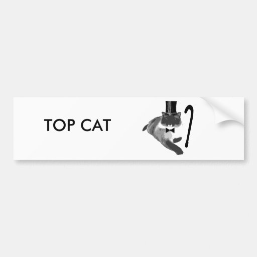 Top Cat (2) Autocollants Pour Voiture