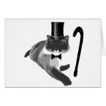 Top Cat (2) Cartes De Vœux