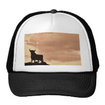 Toro Gorros