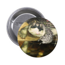 Tortue Badge Avec Épingle