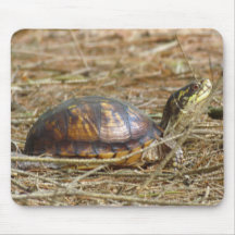 Tortue de boîte - cou tapis de souris