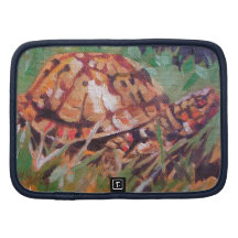 Tortue de boîte organiseur